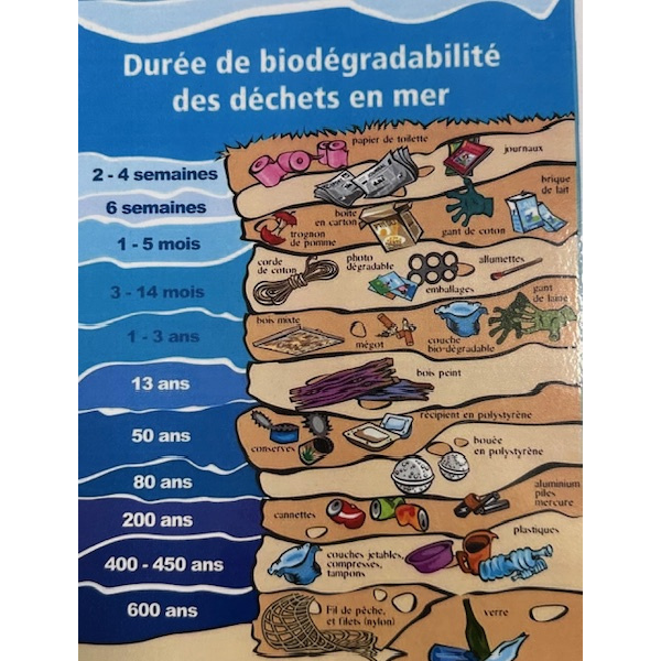 Conseil de la mer - Collège Chateaubriand